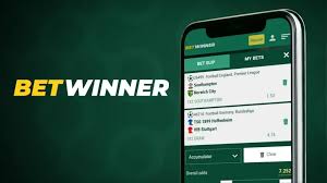 Your Ultimate Guide to Betwinner Bonuses